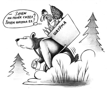 Медведь карикатура