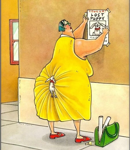 Юмористические иллюстрации