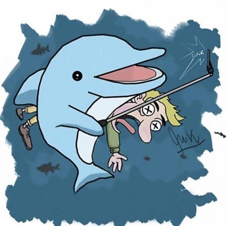 Смешные дельфины