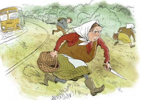 Ольга громова карикатура бабки