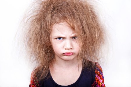 Лохматая девочка