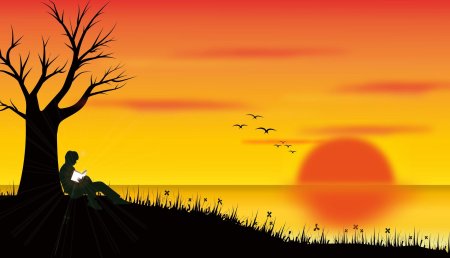 Силуэт деревьев на закате