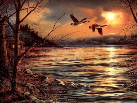 Терри редлин картины