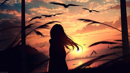 Девушка на закате