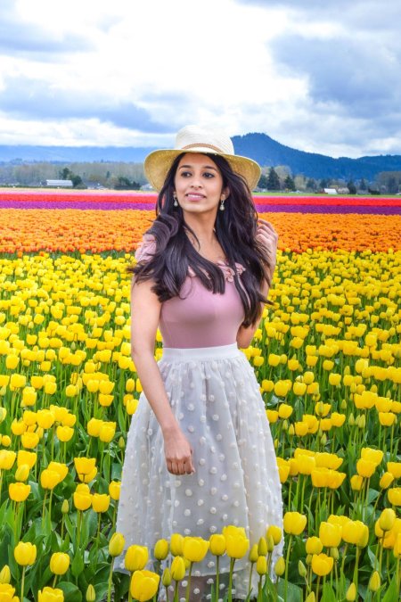 Поле тюльпанов