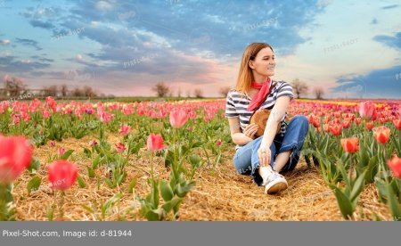Девушки в полях тюльпанов