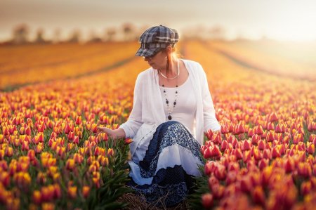 Поле тюльпанов