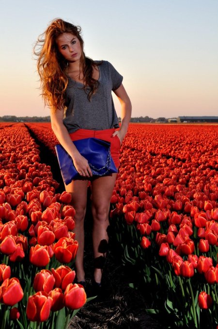 Поле красных тюльпанов