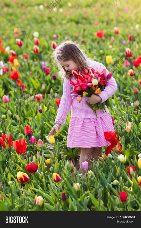 Девочка с тюльпанами