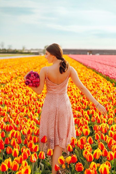 Девушки с тюльпанами