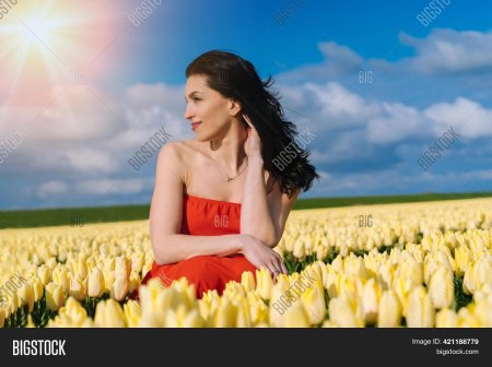 Поле тюльпанов