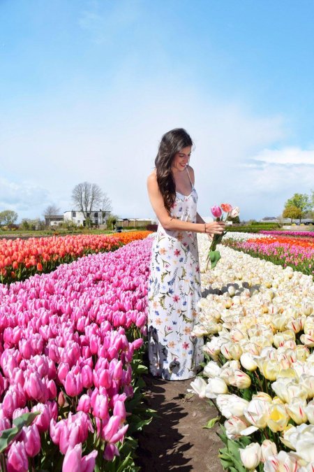 Тюльпановое поле амстердам