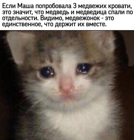 Плачущий кот из мема