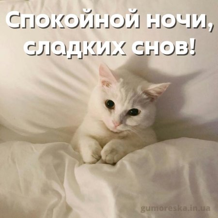 Спокойной ночи для любимой девушки