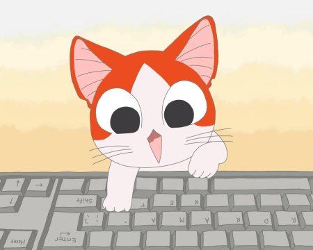 Аниме котик