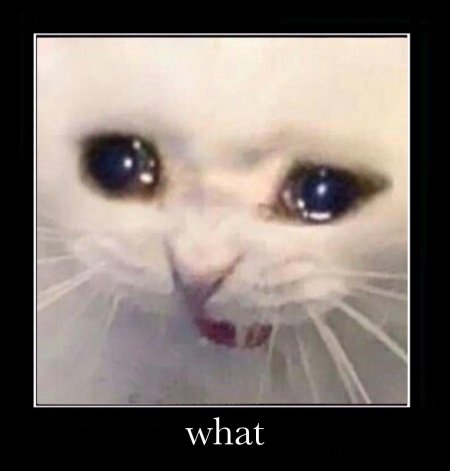 Плачущий кот из мема