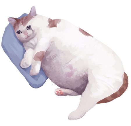 Плачущий кот на подушке