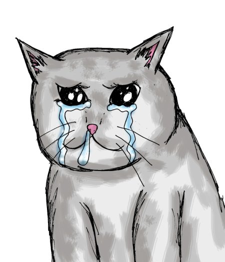 Плачущие котики