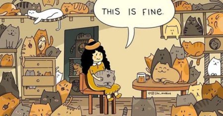 Много котиков