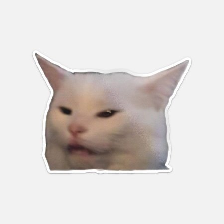 Белый кот из мема