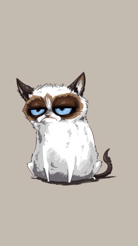 Grumpy cat обои на рабочий стол
