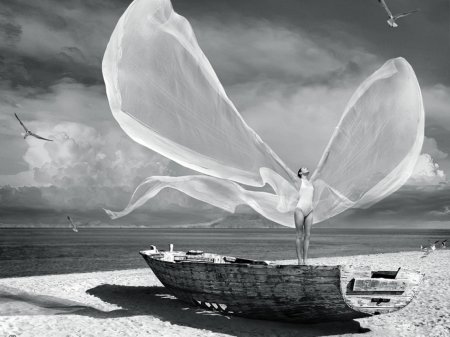 День свободного ветра в крыльях