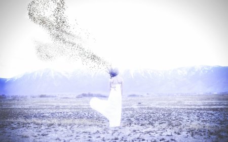 Девушки, растворяющиеся в воздухе