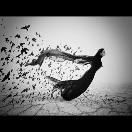 Девушка птица