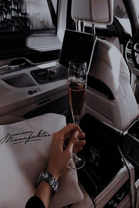 Эстетика богатой жизни