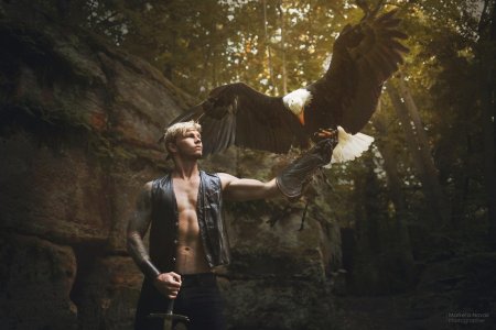 Орел и человек