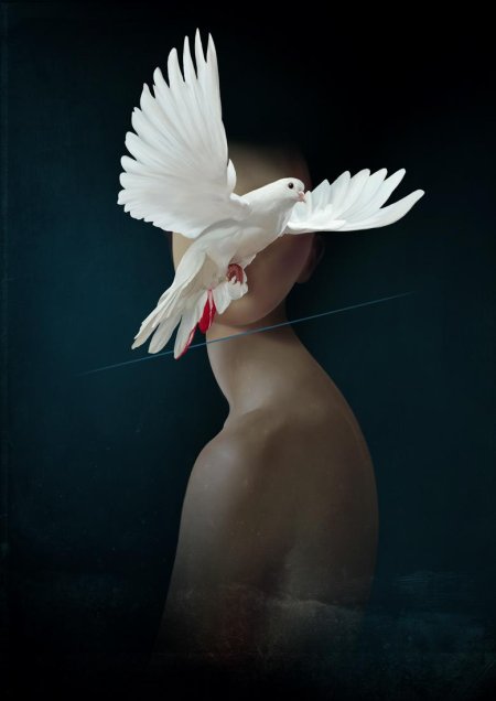 Эми джадд картины