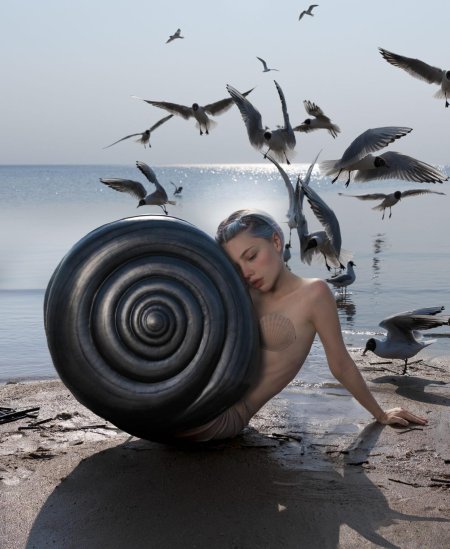 Елена шейдлина