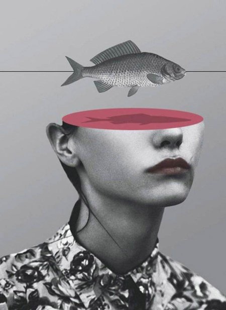 Серебряный карась (carassius gibelio)