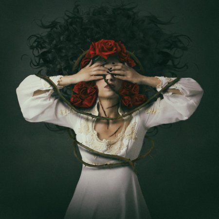 Розы сюрреализм