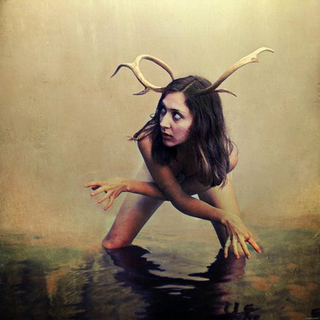 Брук шейден