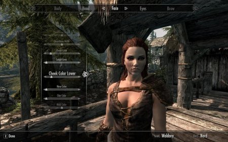 Скайрим редактор персонажа