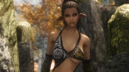 Skyrim \ компаньон виктория велина\