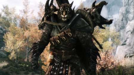 The elder scrolls v: skyrim каджит