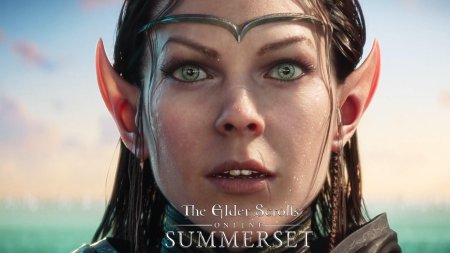 Эльфийка из the elder scrolls