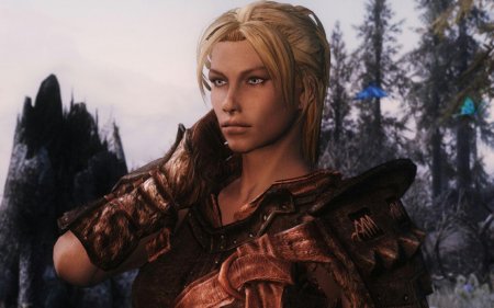 Норд скайрима пресеты