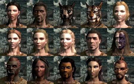 Норды раса скайрим