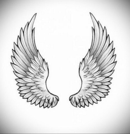 Крылья эскиз