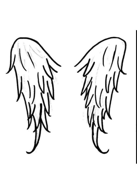 Крылья карандашом