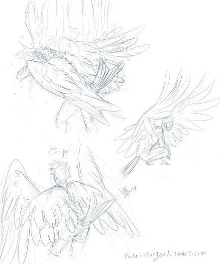 Крылья скетч