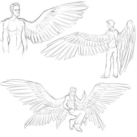 Позы для рисования с крыльями