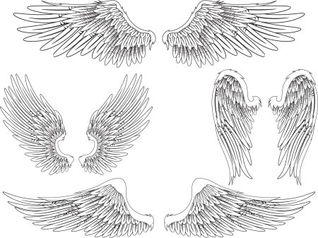 Ангельские крылья рисунок