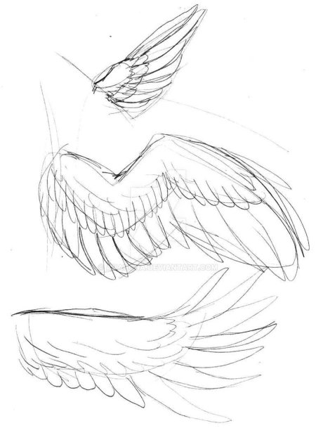 Референс крыльев серафима
