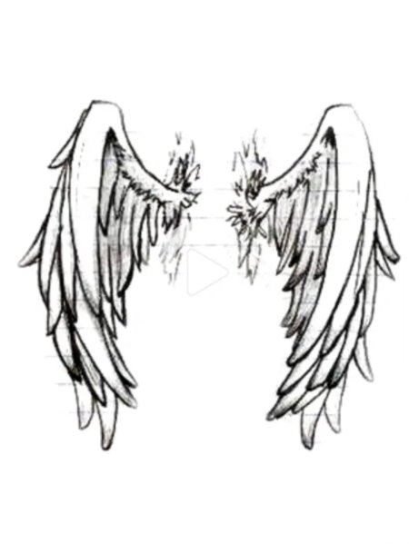 Крыло эскиз