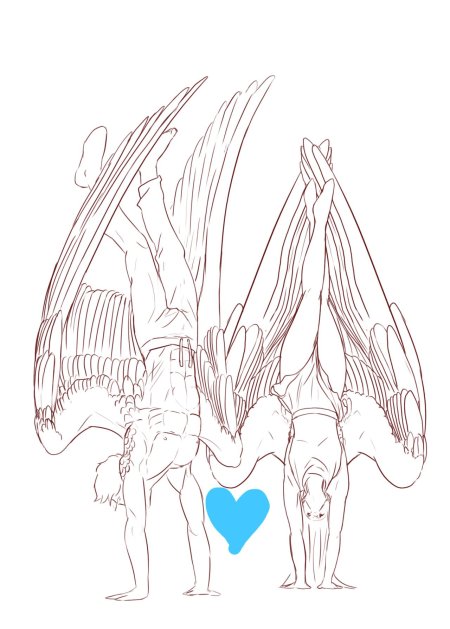 Крылья референс ангела