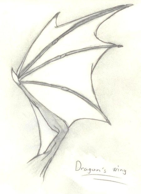 Драконьи крылья референс